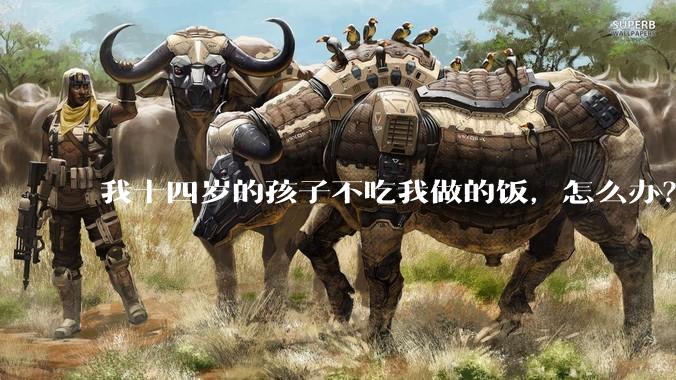 我十四岁的孩子不吃我做的饭，怎么办？