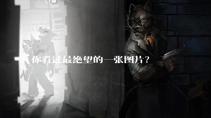 你看过最绝望的一张图片？
