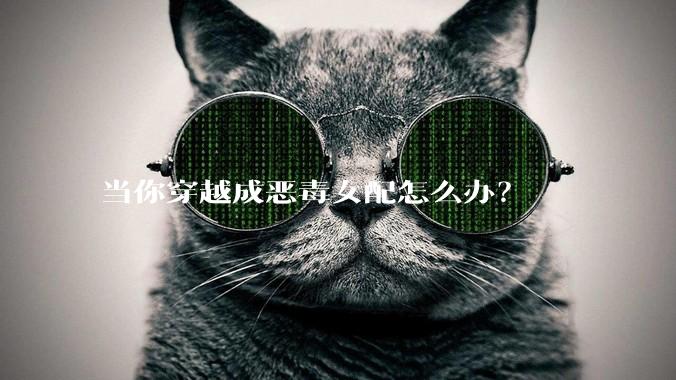 当你穿越成恶毒女配怎么办？