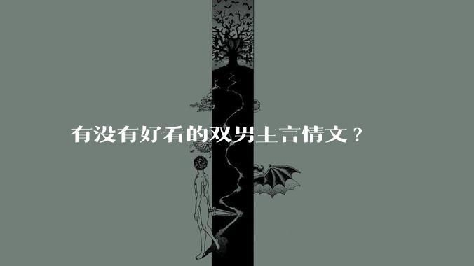 有没有好看的双男主言情文?